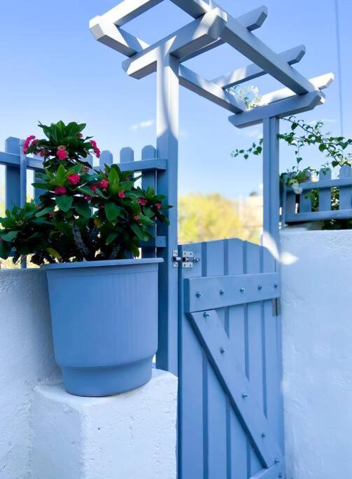 Vila Giasemi Aegina, Modern House Exteriér fotografie