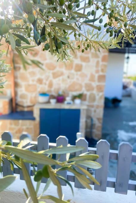 Vila Giasemi Aegina, Modern House Exteriér fotografie