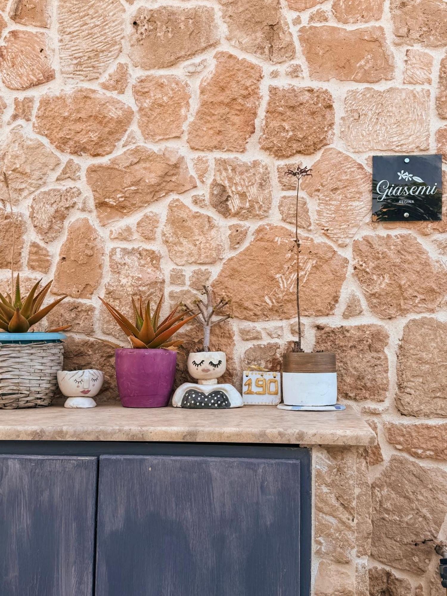 Vila Giasemi Aegina, Modern House Exteriér fotografie