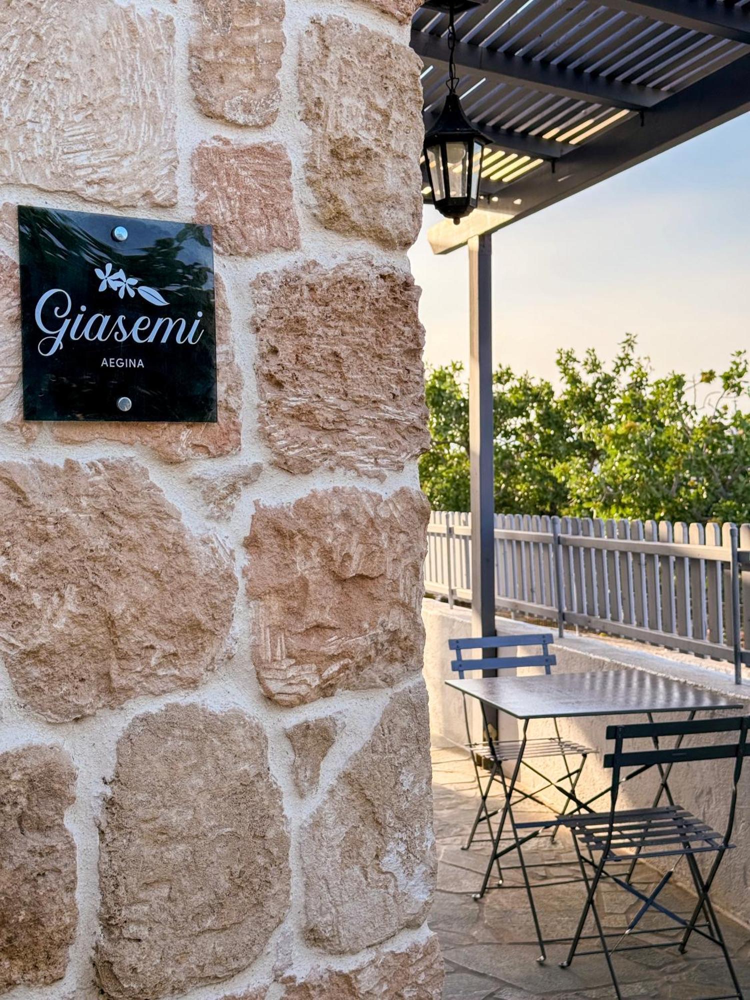 Vila Giasemi Aegina, Modern House Exteriér fotografie